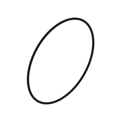 R123273: O-Ring John Deere part - Original